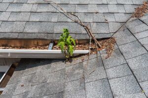 Clogged valley gutter