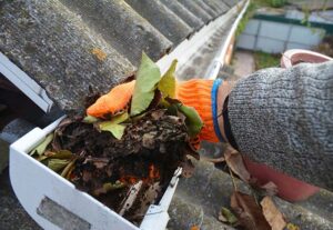 Clogged gutter