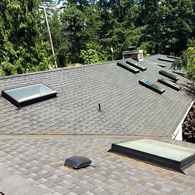 19 year-old skylight install - no problems